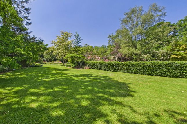 Well House, Frensham Road, Cranbrook photo 3