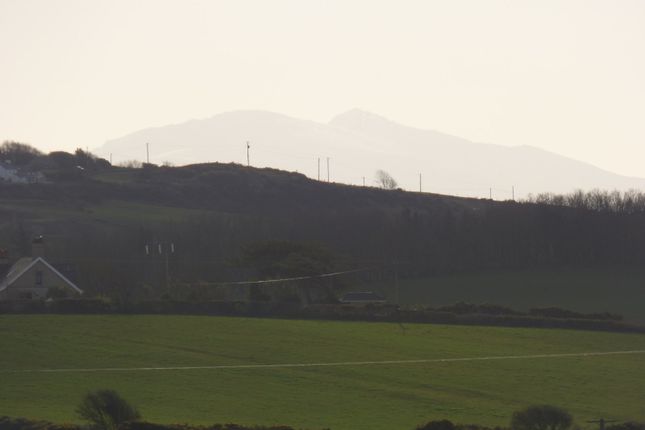 Mount Snowdon