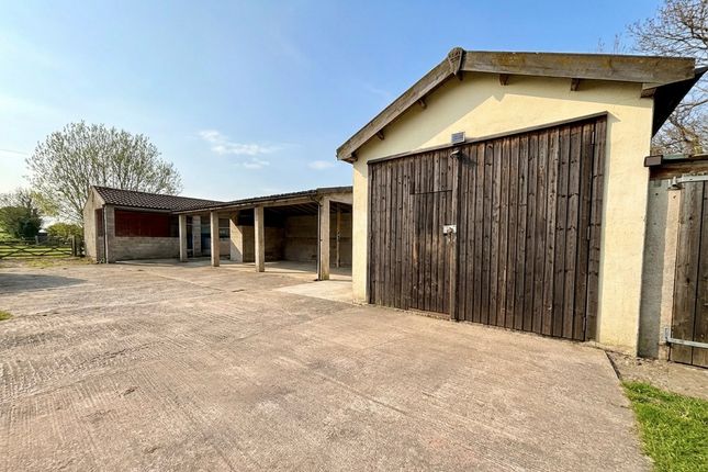 BEAU PADDOCK, EASTON, WELLS photo 3