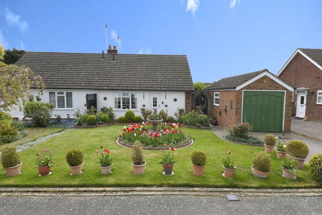 Thumbnail Bungalow for sale in St. Nicholas Road, Witham, Essex