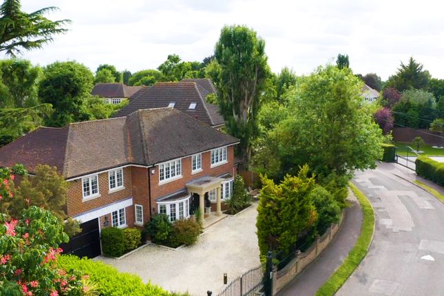 Thumbnail Detached house for sale in Ayloffs Walk, Hornchurch