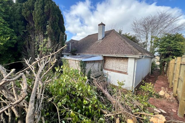 Studio house on 28 Nut Bush Lane, Torquay, £70,000