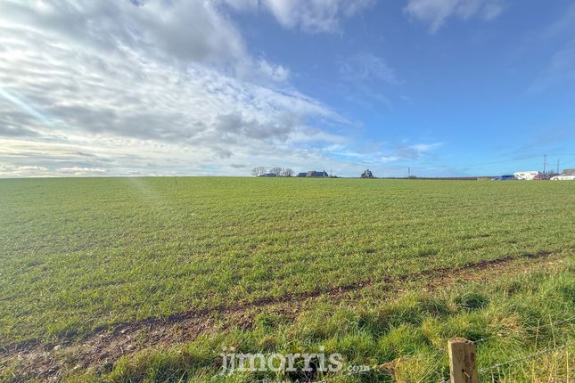 Afallon, Blaenannerch, Cardigan photo 4