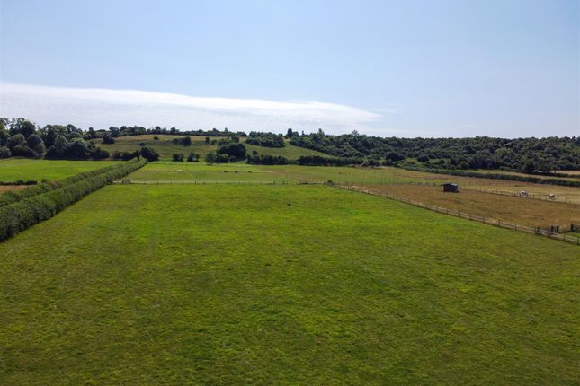 Bentleigh Farm_31.07.24-45.Jpg