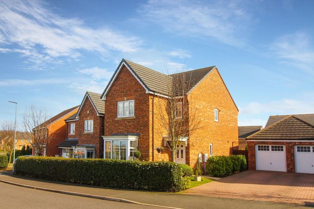 Thumbnail Detached house for sale in Ambridge Way, Seaton Delaval, Whitley Bay