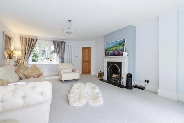 21 Shirley Drive, Hove photo 3
