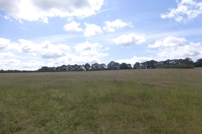 Lot 4 - Approx. 33.49 Acres Of Arable/Pasture Land