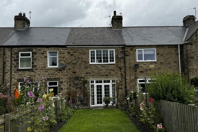 Thumbnail Terraced house for sale in Langley Street, Langley Park, Durham