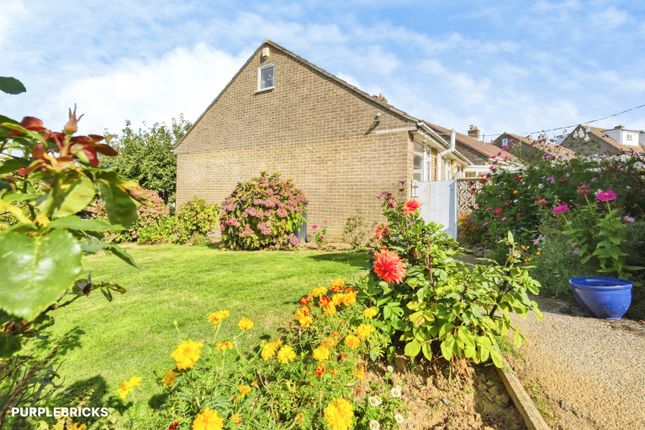 21, Jessopp Avenue, Bridport photo 4