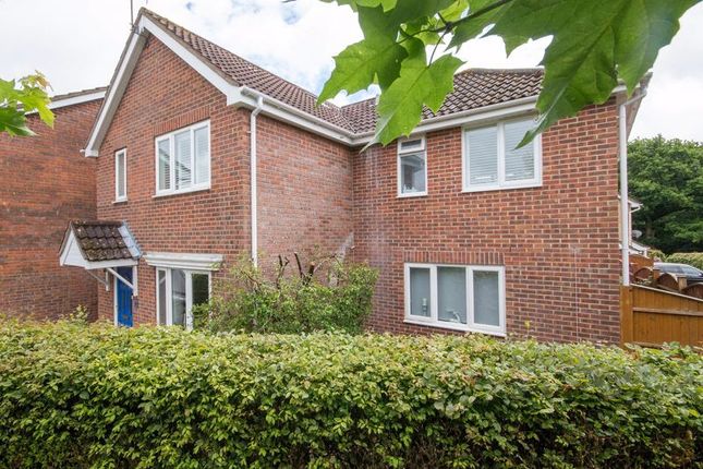 Thumbnail Detached house for sale in Maple Gardens, Totton, Southampton