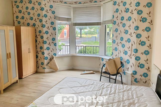28, Cardiff photo 2