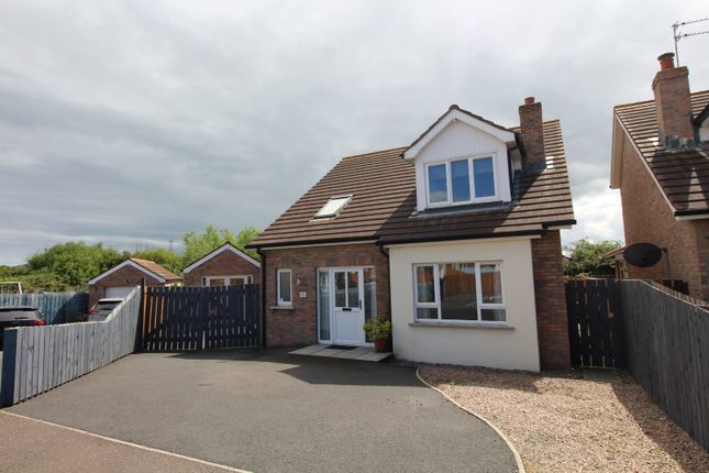 Detached house to rent in Trailcock Close, Carrickfergus