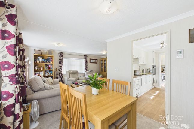 16 The Tides, Watchet photo 4