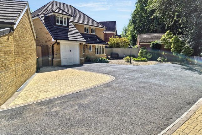 30, Dewberry Grove, Newport photo 3