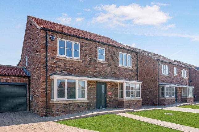 Riverviewplot7