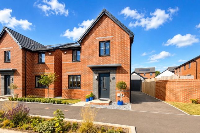 11, Fern Drive, Swansea photo 2