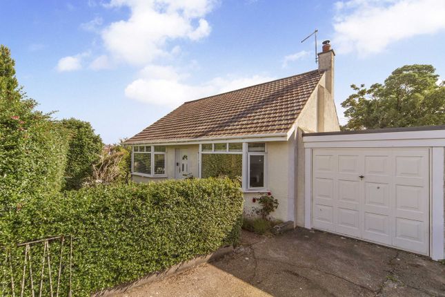 Thumbnail Detached bungalow for sale in Livingstone Place, St Andrews