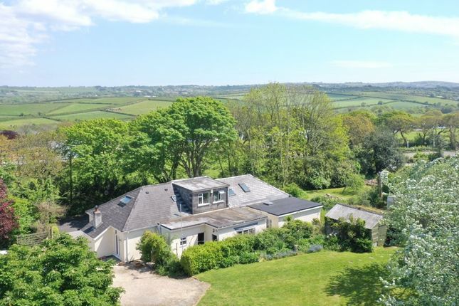 Bridge Hill Farm, Redruth photo 3