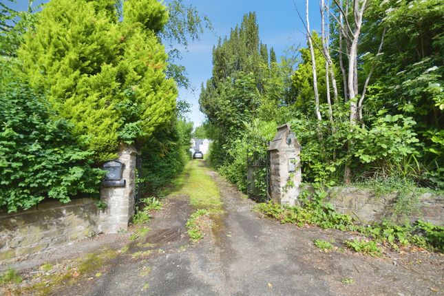 226, Abbeydale Road South, Sheffield photo 3