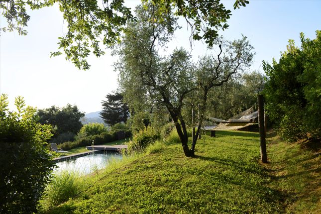 Villa for sale in Capannori, Lucca, Tuscany, Italy