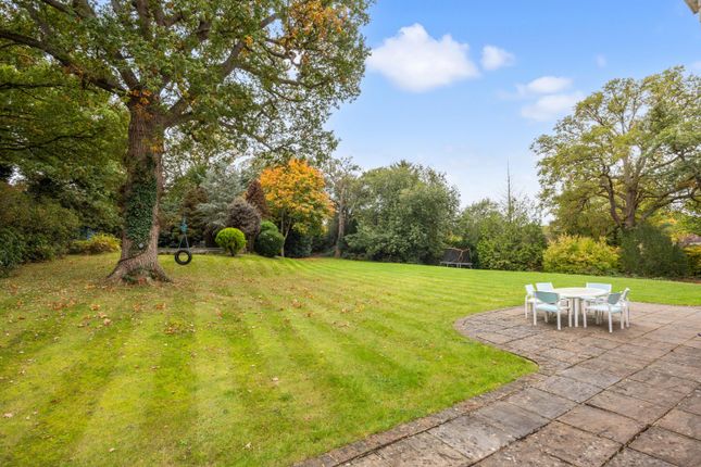 Pachesham Park, Leatherhead photo 2