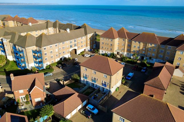 Arequipa Reef, Eastbourne photo 2