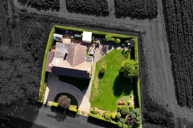 Old Lodge Farm, Highgate, Boston photo 2