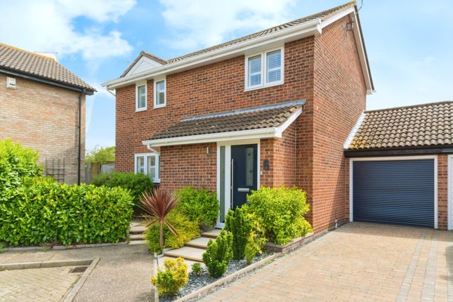 Thumbnail Detached house for sale in Ripley Close, Clacton-On-Sea, Essex