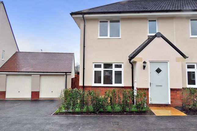 Bsbr-Dy-Outside Front (1) Mp.Jpg