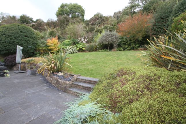 15, Lincoln Close, Eastbourne photo 3