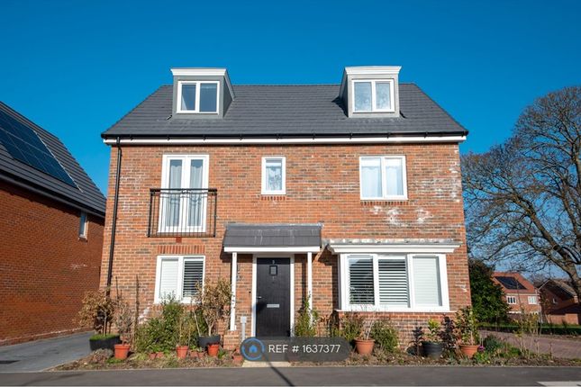 Thumbnail Detached house to rent in Donnington Grove, Binfield, Bracknell