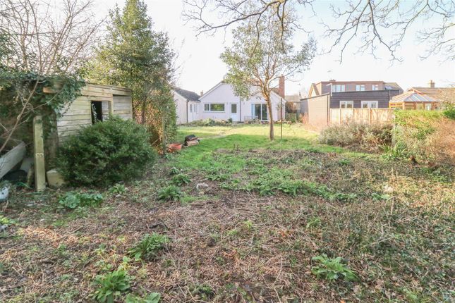Detached bungalow for sale in East Fen Road, Isleham, Ely