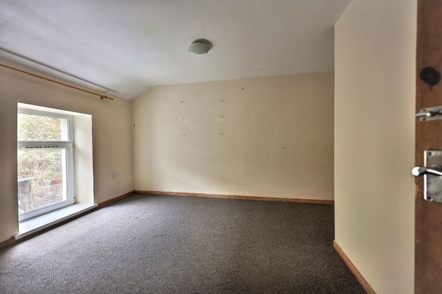 Ferndale photo 3