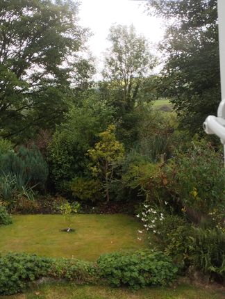 View From Front Bedroom