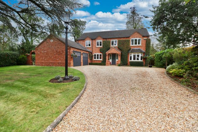 Img_34454_2_Original (1)