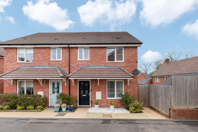 Thumbnail Semi-detached house for sale in Poplar Close, Liphook