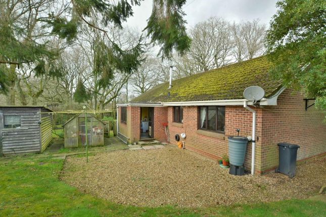 Detached bungalow for sale in Slough Lane, Horton, Wimborne, Dorset