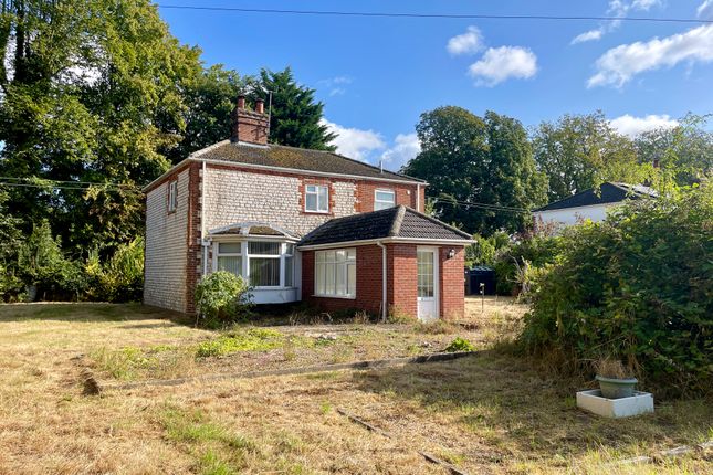 Thumbnail Detached house for sale in Little London Road, Northwold, Thetford