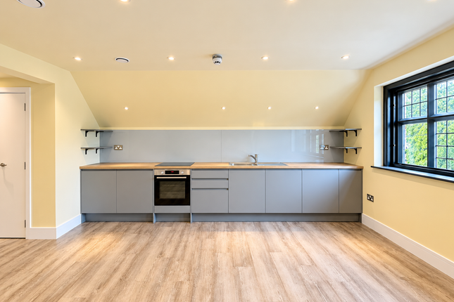 Carlyle Road, Ealing photo 3