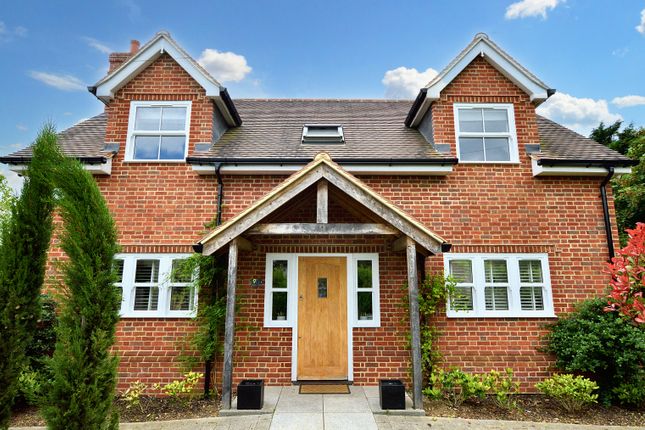 Thumbnail Detached house to rent in Mayflower Road, St Albans