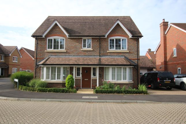 Thumbnail Detached house to rent in Phillips Close, Wokingham