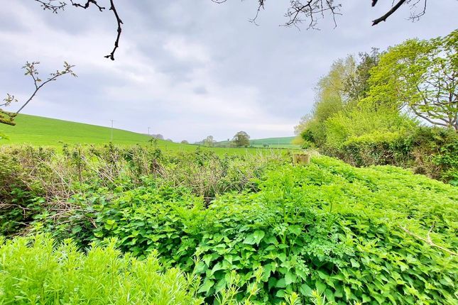 3, Tanyard, Minehead photo 4