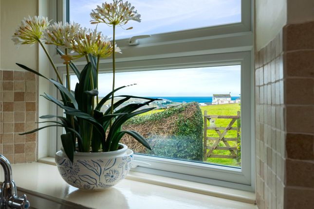 Kitchen View