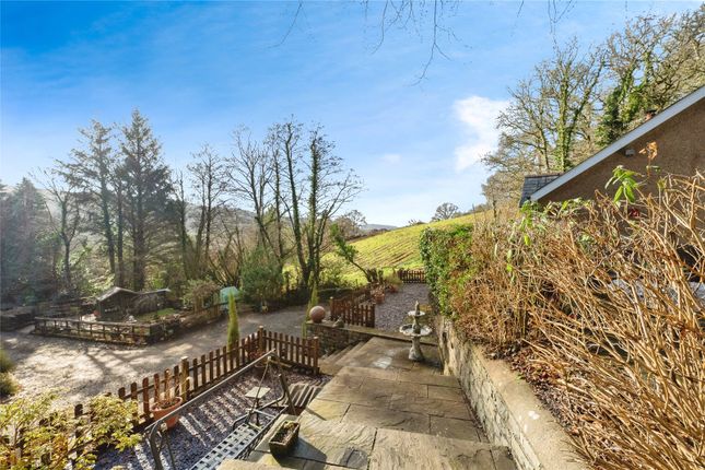 Rhyddlad,, Abercrave, Powys photo 2