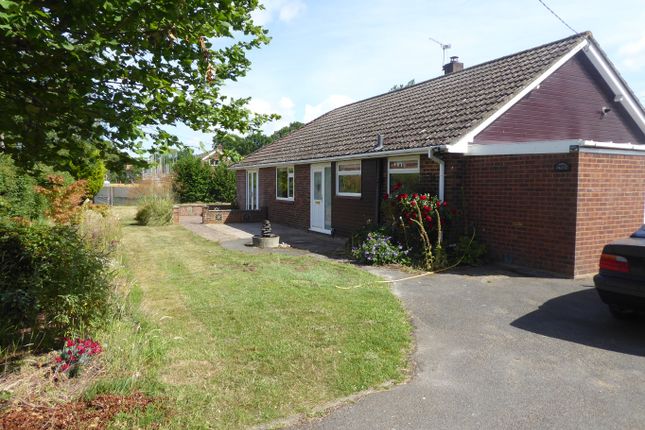Thumbnail Bungalow to rent in Baughurst Road, Baughurst, Tadley, Hampshire