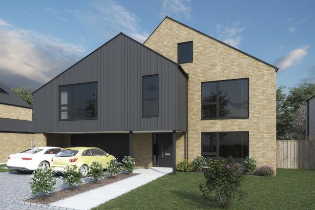 Thumbnail Detached house for sale in Plot 5, Portholme Place, Huntingdon