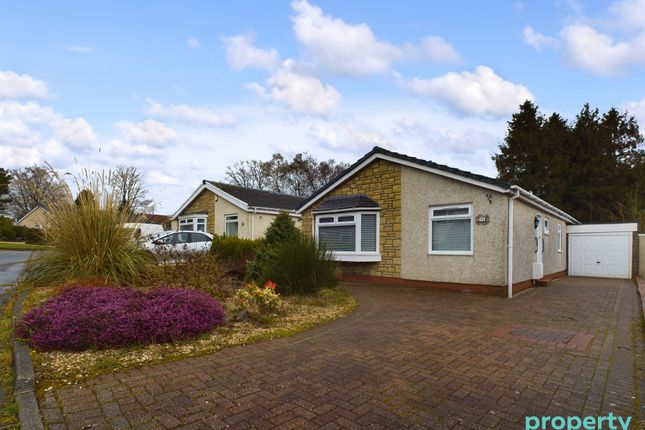 Thumbnail Bungalow to rent in Pitcairn Crescent, East Kilbride, South Lanarkshire