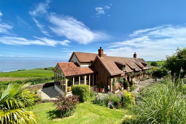 Thumbnail Detached house for sale in West Quantoxhead, Taunton