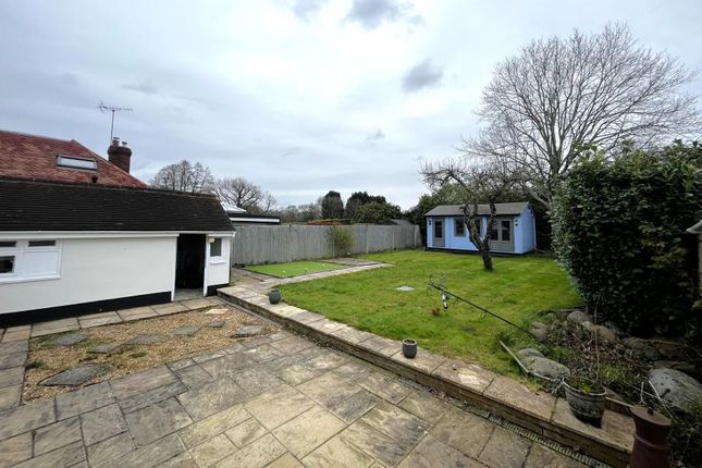 Detached bungalow to rent in Scotts Grove Close, Chobham, Woking