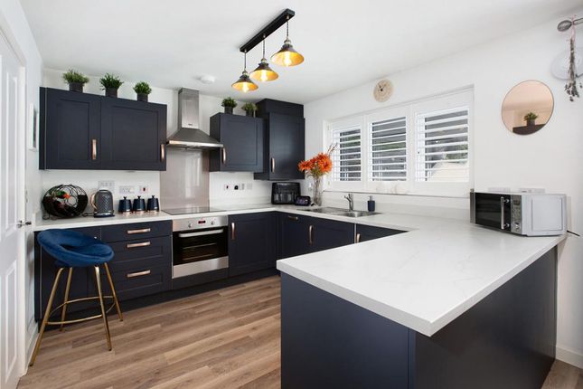 34 Barrow Vale, Newton Abbot photo 2